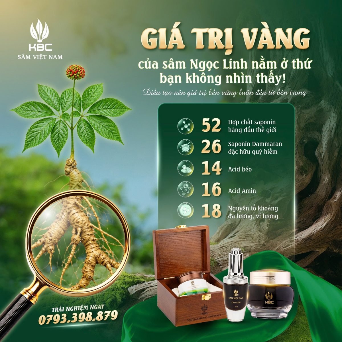 Discovering the Multilayered System of 52 Saponins in KBC Ngoc Linh Ginseng