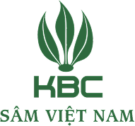 CÔNG TY CỔ PHẦN ĐẦU TƯ & PHÁT TRIỂN SÂM KBC