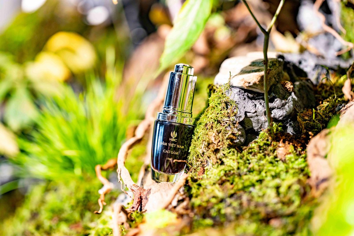 Ngoc Linh Ginseng Extract and Korean Ginseng Extract: What are the Differences?