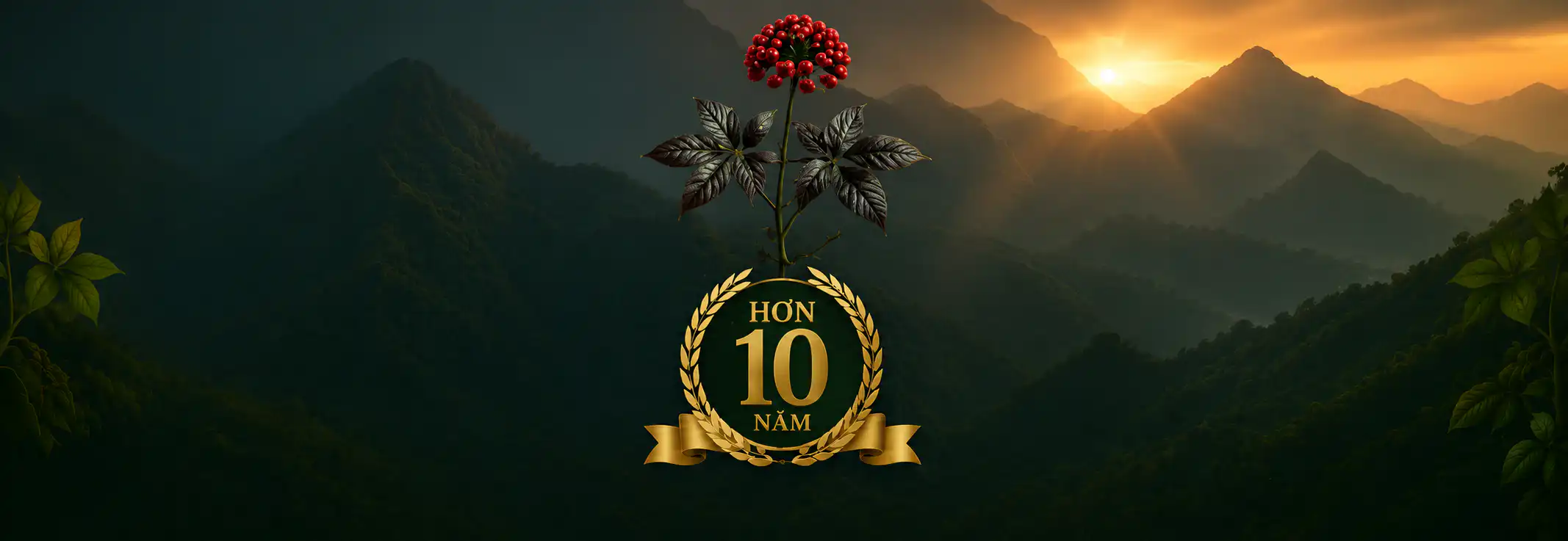 Hành trình 10 năm<br />
Vì sức khỏe cộng đồng
