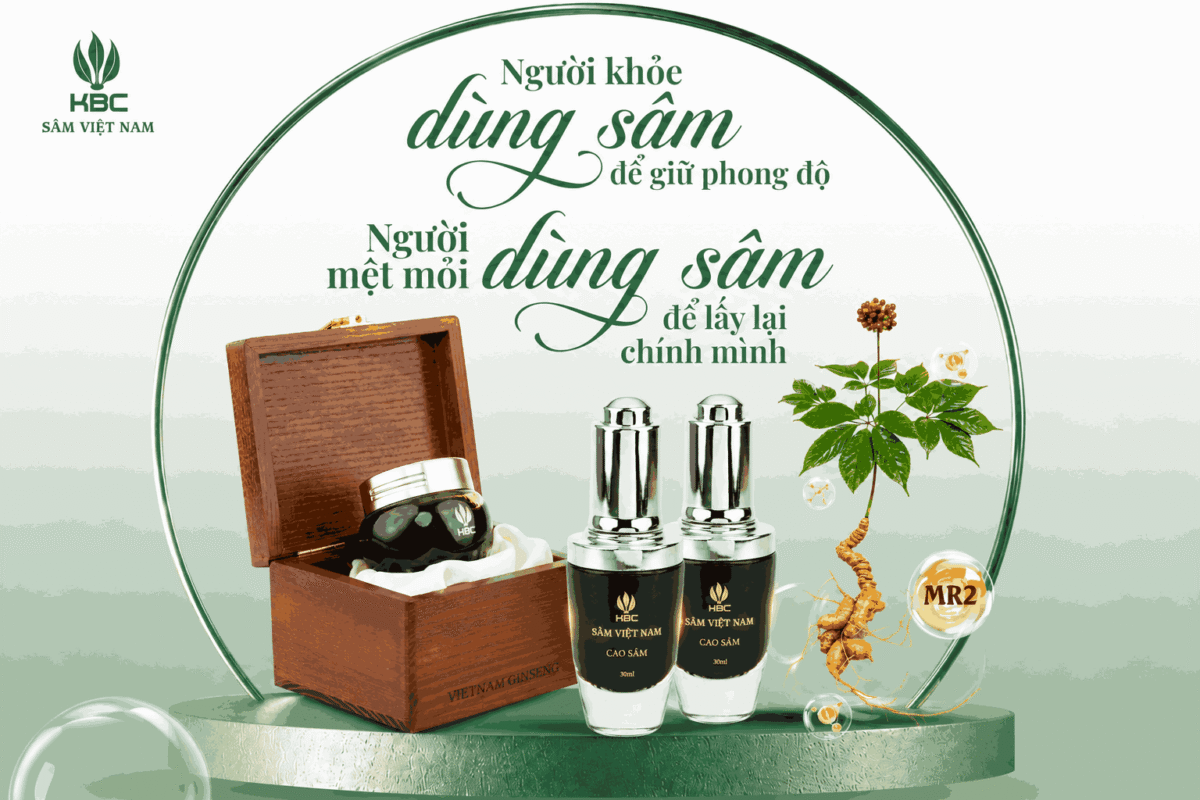 Sâm Ngọc Linh Phục Hồi Thể Trạng Và Giảm Mệt Mỏi Như Thế Nào?