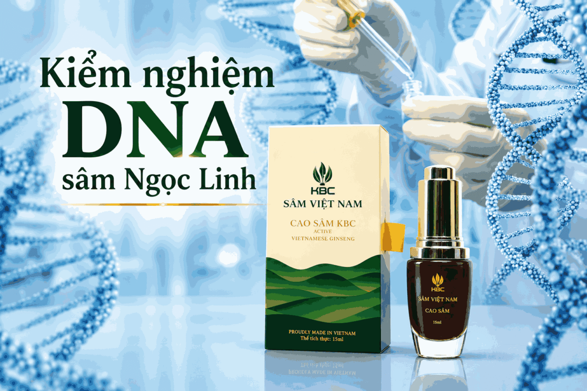 Kiểm Nghiệm DNA Sâm Ngọc Linh Đáng Tin Hơn Câu Chuyện Thương Hiệu?