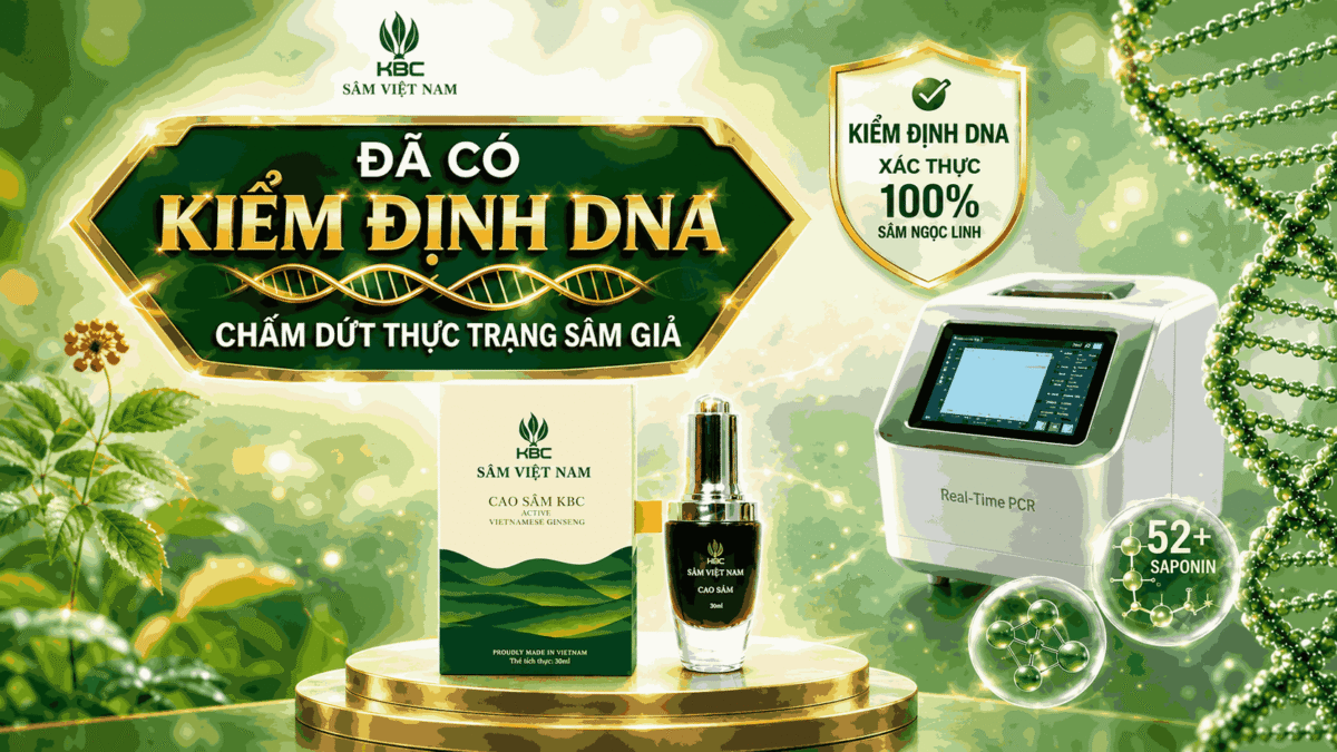 DNA Siêu Mã Vạch Là Gì? Bước Tiến Mới Trong Định Danh & Bảo Tồn Sâm Ngọc Linh
