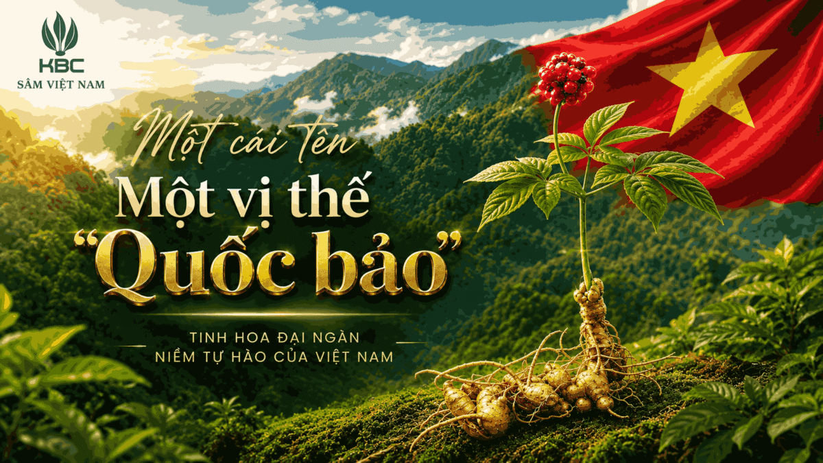 Vì Sao “Quốc Bảo” Việt Nam Chưa Thành Ngành Công Nghiệp Tỷ USD?
